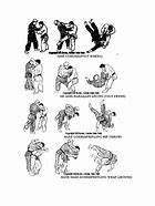 Image result for Common Judo Throws