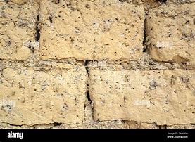 Image result for Yello Mud Wall Texture