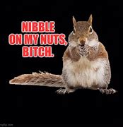 Image result for I Need Nibbles Memes