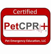 Image result for Pet CPR Certification in Person