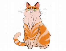 Image result for Arrogant Cat Pinterest