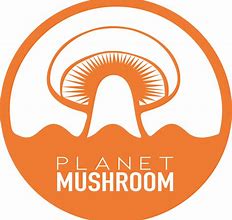 Image result for Whimsical Organic Brand Mushroom