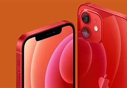 Image result for Pictures of Consumer Cellular iPhones