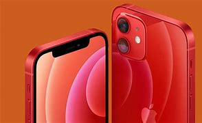Image result for Fall Appie iPhone 12 Pro Max