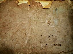 Image result for Torn Paper Edge