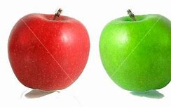 Image result for Green Apple Fruit