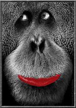 Image result for Monkey Kiss Face