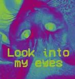 Image result for Stop Looking at My Eyees