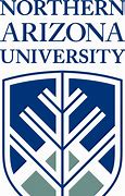 Image result for University of Arizona Logo.png