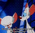 Image result for Funny Pinky and the Brain