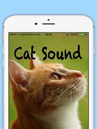 Image result for Cat Sounds App