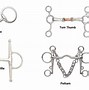 Image result for Different Types of Horse Bits English