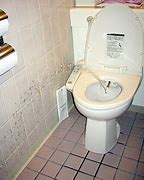 Image result for Japanese Bidet Toilet Seat