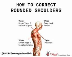 Image result for Small Round Thing On Shoulder