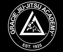 Image result for Gracie Jiu Jitsu Wallpaper HD