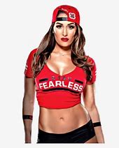 Image result for WWE News Nikki Bella