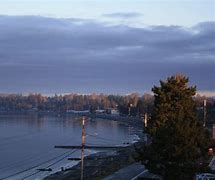Image result for What to Do at Birch Bay