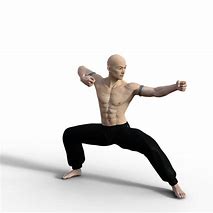 Image result for Kung Fu