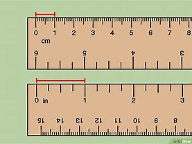 Image result for How Tall Is One Seven Zero Centimeter