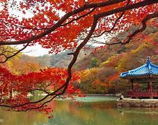 Image result for National Parks in Seoul South Korea