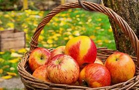 Image result for Apple Harvest Hex