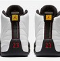 Image result for Nike Air Jordan 12