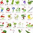 Image result for Tree Icon Cartoon