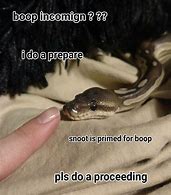 Image result for Snake Memes