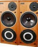 Image result for Celestion Ditton 15