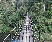 Image result for Crack in Ponte Morandi Bridge