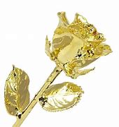 Image result for Roses Covered in Gold