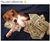 Image result for You Can't Afford Me Meme