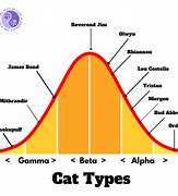 Image result for The Cat Distribution System