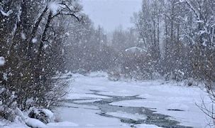 Image result for Snowy Rainy Day