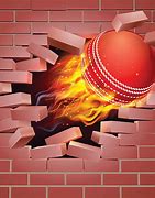 Image result for Cartoon Cricket Flying