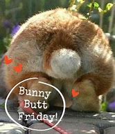 Image result for Cute Butt Friday Meme