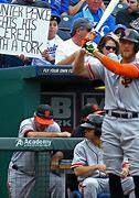 Image result for Funny Baseball Signs