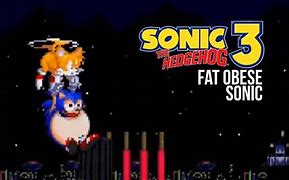 Image result for Fat Sonic Running