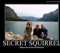 Image result for Secret Squirrel Meme