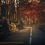 Image result for 4K Ultra HD Gaming Wallpapers for PC