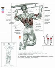 Image result for 30-Day Beginners Workout Printable
