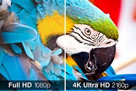 Image result for 1080P On 4K TV