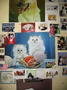 Image result for Pets & Pet Supplies