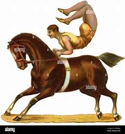 Image result for Lusitano Horse Tricks