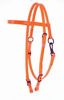 Image result for Bridle without Noseband