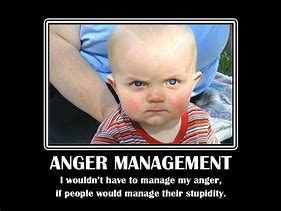 Image result for Angry Humor