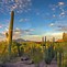 Image result for Tucson Arizona Scenery