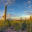 Image result for Tucson Arizona Sunshine
