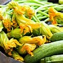 Image result for Small Squash Types