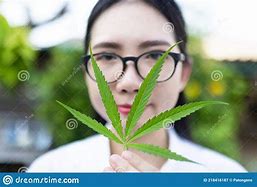 Image result for Green Marijuana Plants